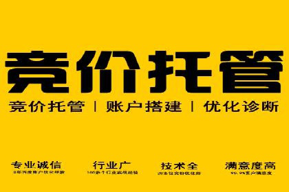 SEM竞价优化案例分析：关键词策略调整效果显著